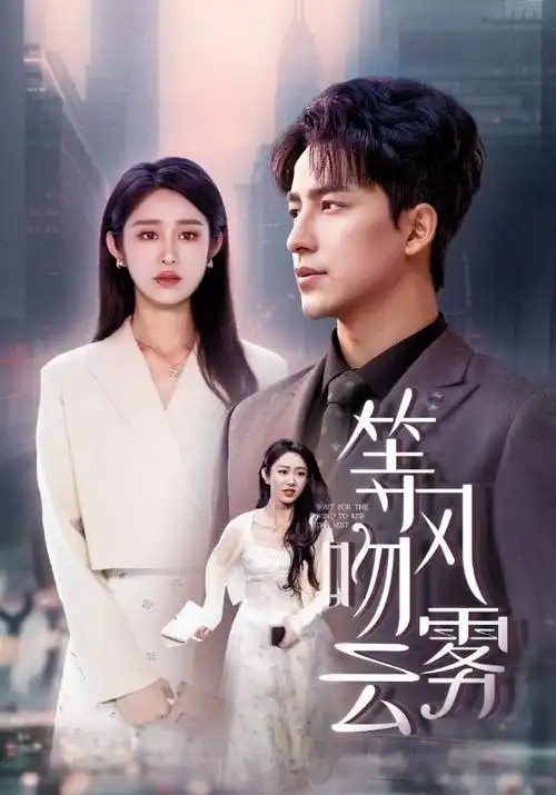 隐秘的角落 剧集海报